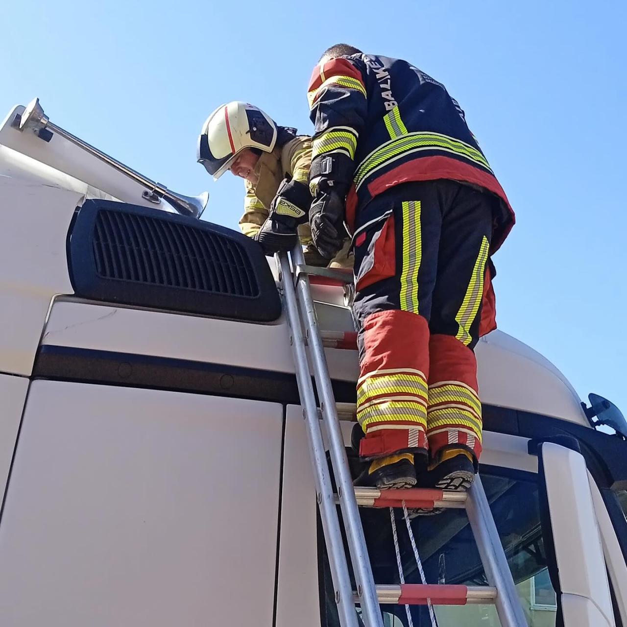 Edremit’te Tırda Yılan Paniği! - 2