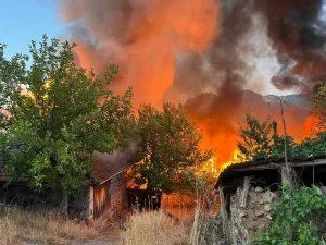 Ambardan başlayan yangın köyü sardı